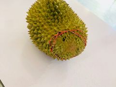 榴莲-都念榴莲·城市榴莲