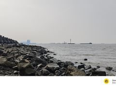 -上海滨江森林公园
