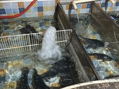 -缘福乡村铁锅炖民宿(八达岭店)