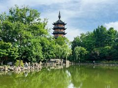 -红梅公园
