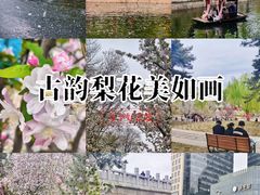 -元大都城垣遗址公园