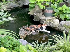 -谷咖啡·鲜花绿植花园餐厅