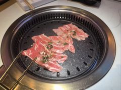 -杨记齐齐哈尔烤肉(总店)