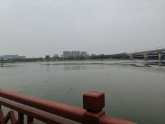 -灞河西岸滨河公园