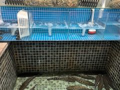 -景明轩•养生酸汤鱼火锅 云贵鲜菌 现舂野果酸汤(王寨小区店)