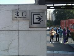 -大宁郁金香公园-停车场