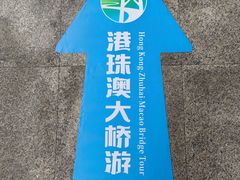 -港珠澳大桥(珠海段)
