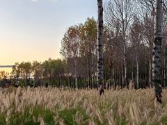 -东郊湿地公园