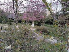 -杭州植物园