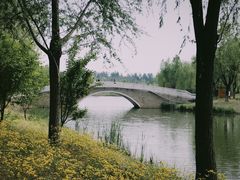 -东郊湿地公园