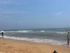 -日照海滨国家森林公园