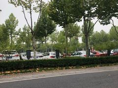 -合肥滨湖国家森林公园