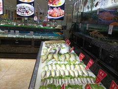 -宝燕壹号(徐汇店)