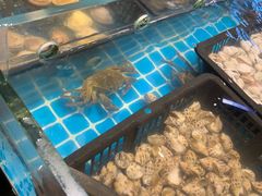 -九月海·海鲜自助(世纪东方店)