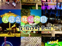 -大连森林动物园