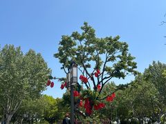 -东湖景区