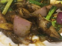 -吉源大排档·鱼生·海鲜(烧烤彩印厂店)