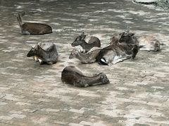 -柳州市动物园