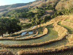 -牙胡梯田