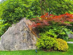 -新荣记(西溪湿地店)