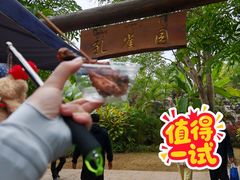 -西双版纳傣族园