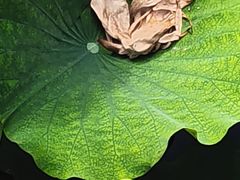 -西南交通大学(九里校区)