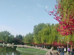 -洛阳市隋唐城遗址植物园