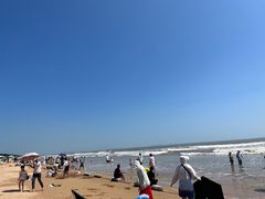 -日照海滨国家森林公园