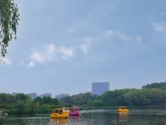 -大兴滨河森林公园
