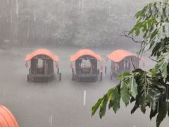 景观位-侨美·唐荔园·40年地道粤菜