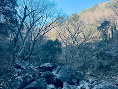 -宁波五龙潭景区