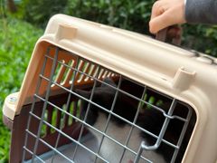 -宠颐生猫科·内科皮肤科(西平世纪城店)