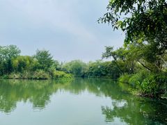 -西溪国家湿地公园