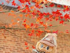 -田野绿世界