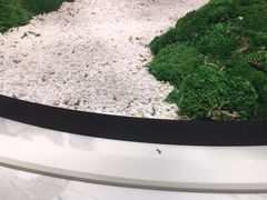 -富黎华海鲜大酒楼(正大广场店)