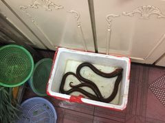 -东康桂家农庄
