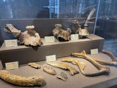 -丁村民俗博物馆