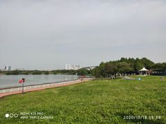 -贡湖湾湿地公园