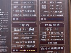 -东平国家森林公园