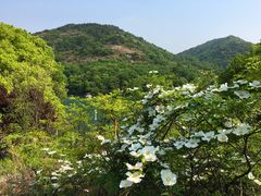 -白马涧龙池景区