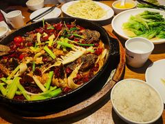 -老板恋上鱼(高新万达店)