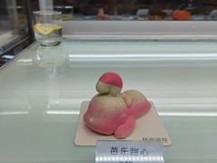 -TD66高山铁皮石斛养生茶饮
