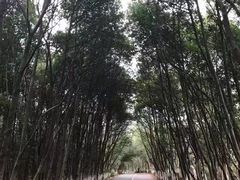 -艾溪湖湿地公园