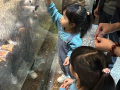 -哈尔滨波塞冬海底世界