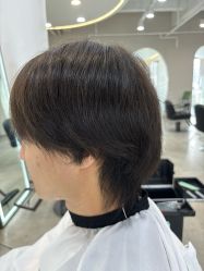 -蚂蚁造型沙龙