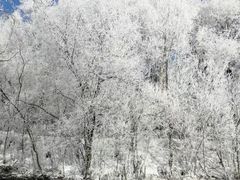 -长白山万达锦华套房酒店