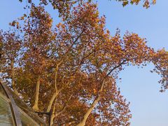 -北山街历史文化街区