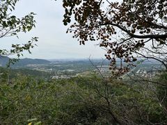 -北京西山国家森林公园