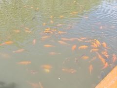 -黛秀湖公园