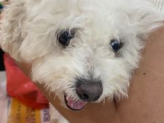 -美联众合动物医院·24h京西诊疗中心